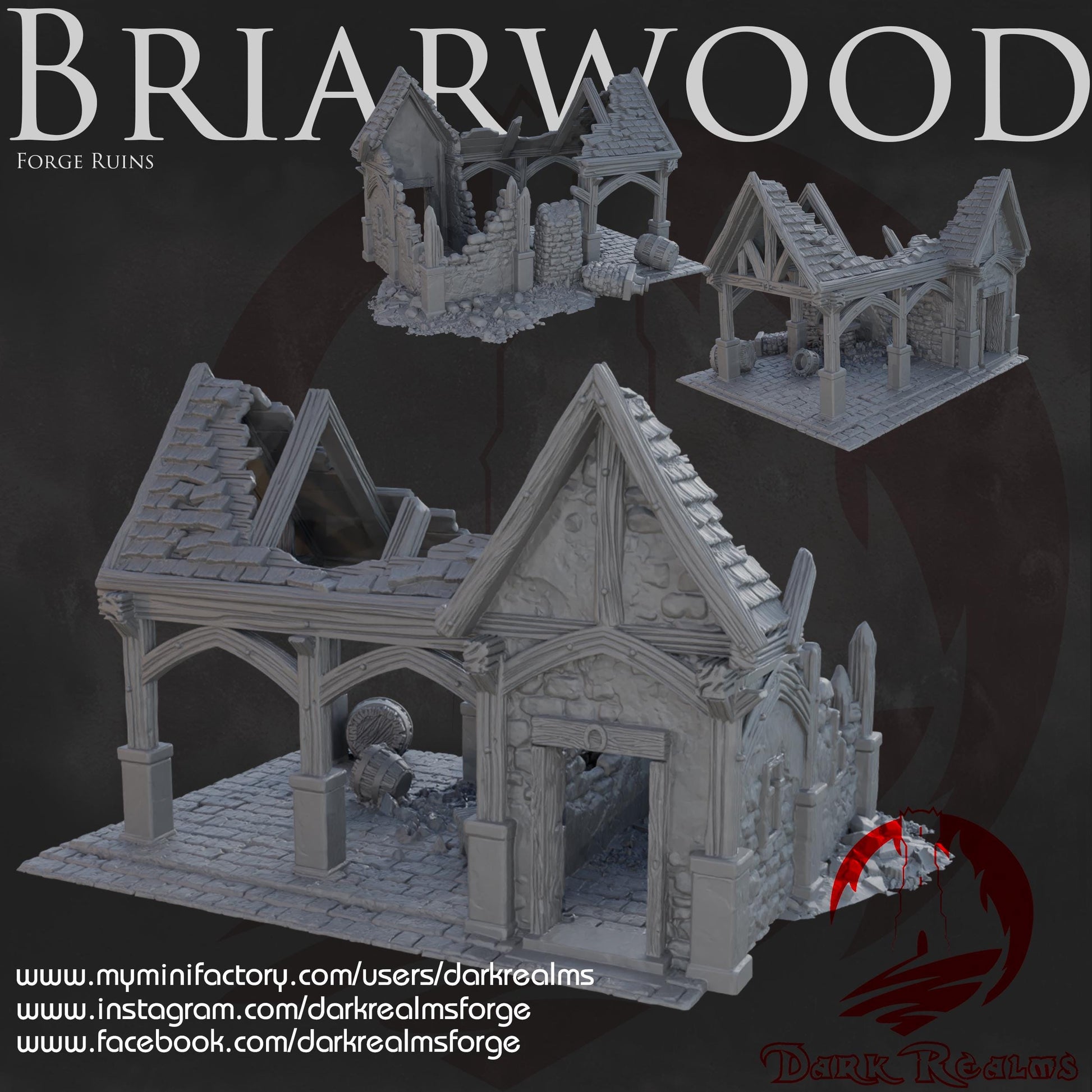 Dark Realms Briarwood - Forge Ruin - Printed on FDM Bambu Lab X1 Carbon (Custom Order) - product image