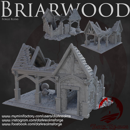 Dark Realms Briarwood - Forge Ruin - Printed on FDM Bambu Lab X1 Carbon (Custom Order) - product image