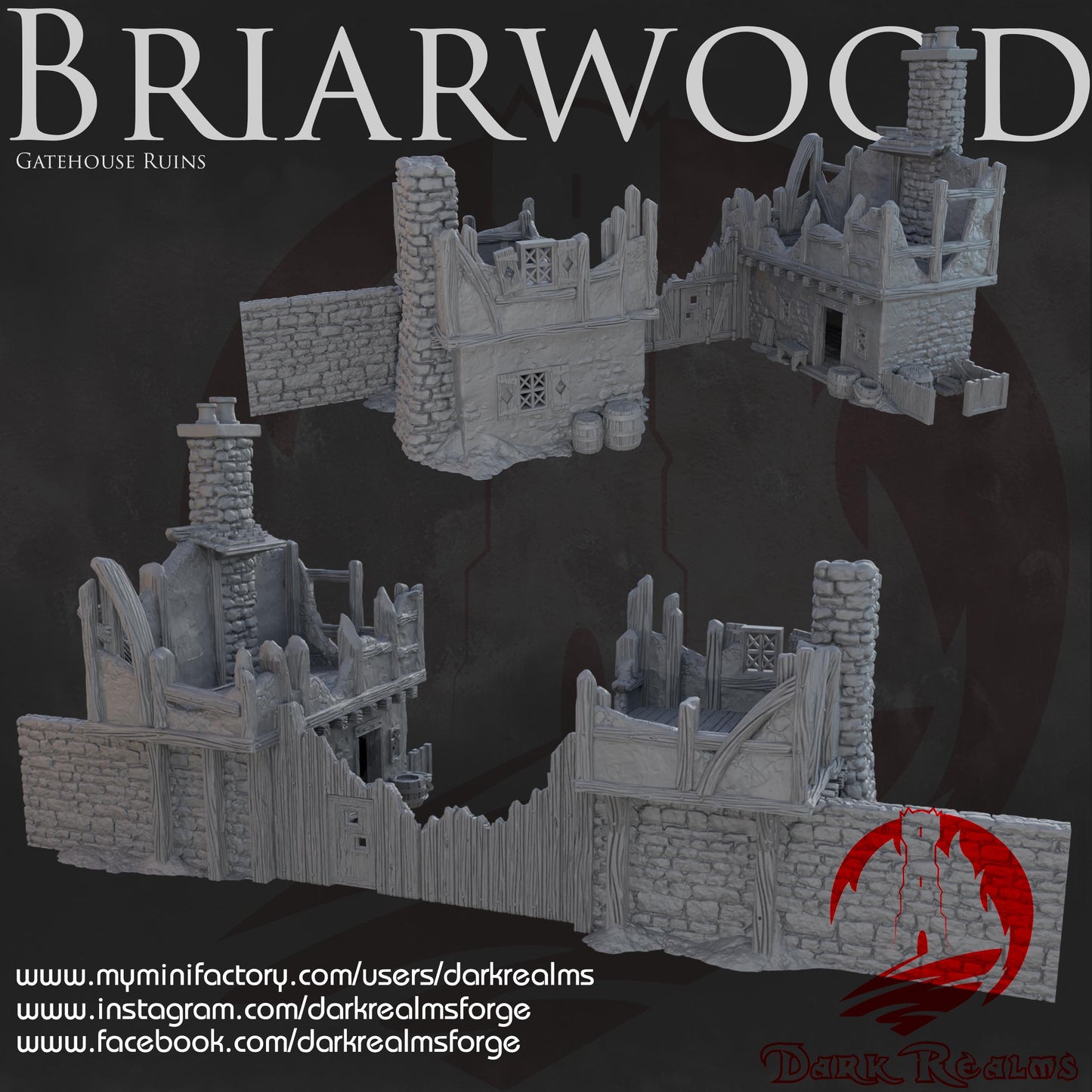 Dark Realms Briarwood - Gate House Ruins - Printed on FDM Bambu Lab X1 Carbon (Custom Order) - product image