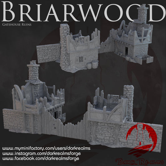 Dark Realms Briarwood - Gate House Ruins - Printed on FDM Bambu Lab X1 Carbon (Custom Order) - product image