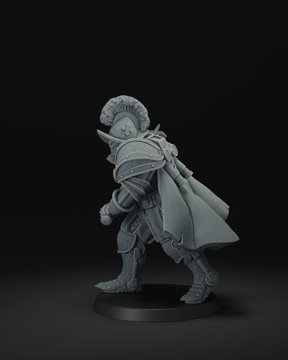 JK Remo Papal Heavy Melee Infantry - Trench  Compatible (Custom Order) - product image 4 of 6