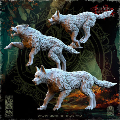 The Beholder Miniatures Evergreen Elves Beastmasters - Fantasy / D&D (Custom Order) - product image 6 of 8
