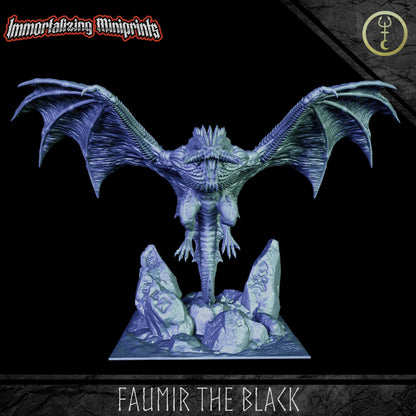 Immortalizing Miniprints Faumir the Black - Fantasy / D&D (Custom Order) - product image 2 of 4
