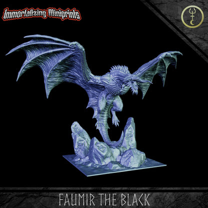 Immortalizing Miniprints Faumir the Black - Fantasy / D&D (Custom Order) - product image 1 of 4