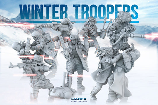 Legion - Winter Troopers (Custom Order)