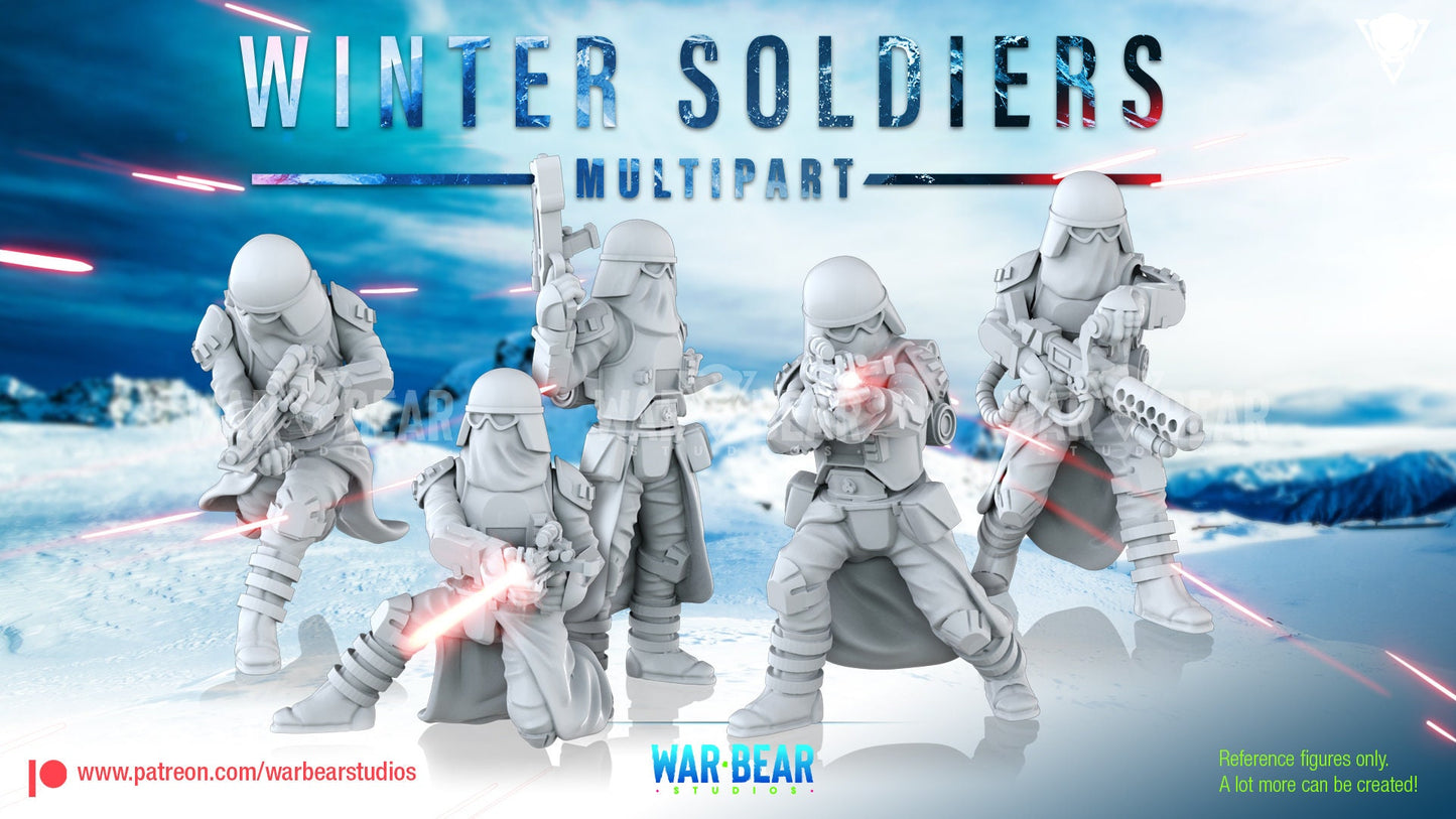 Legion - Winter Soldiers (Custom Order)