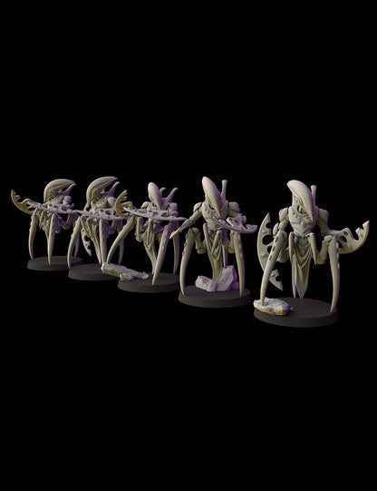 Aeterni Fantasy Cult Miniatures Noctumbras Melee x5 (Custom Order)